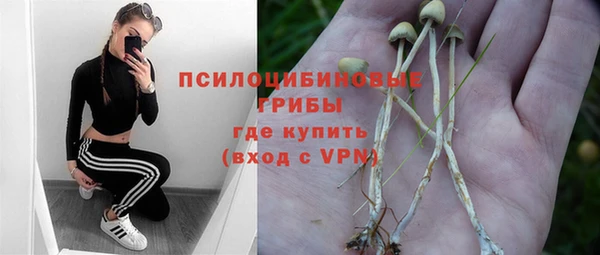 крисы Богородицк