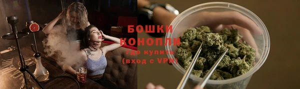 крисы Богородицк