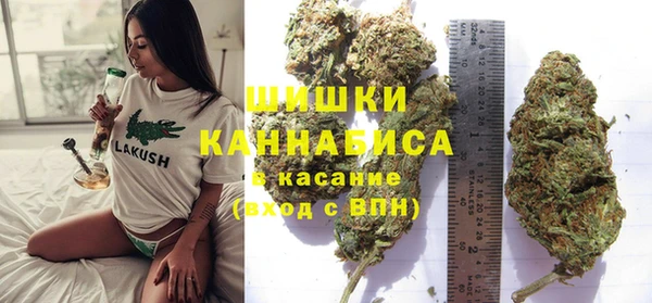 стафф Богородск