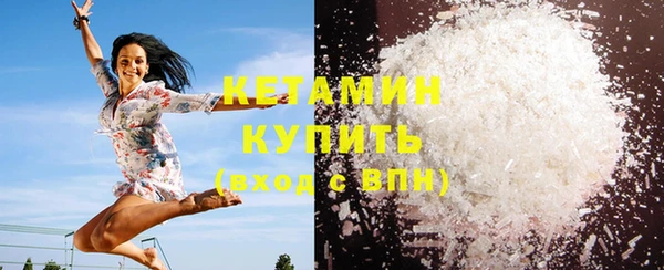крисы Богородицк