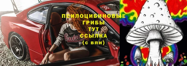 стафф Богородск