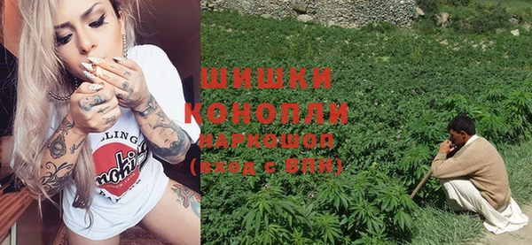 стафф Богородск