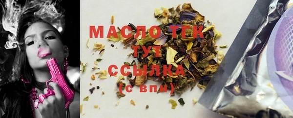 крисы Богородицк